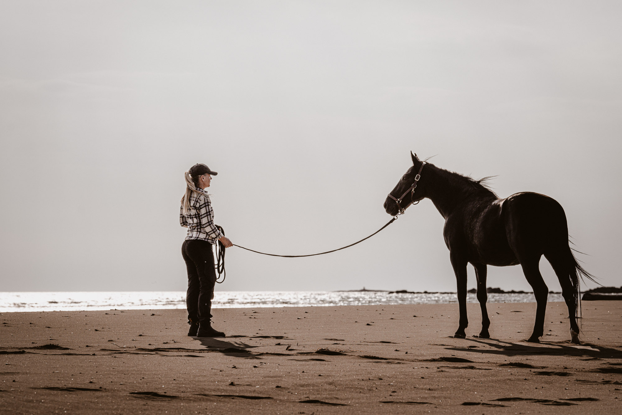 häst och människa vid havet